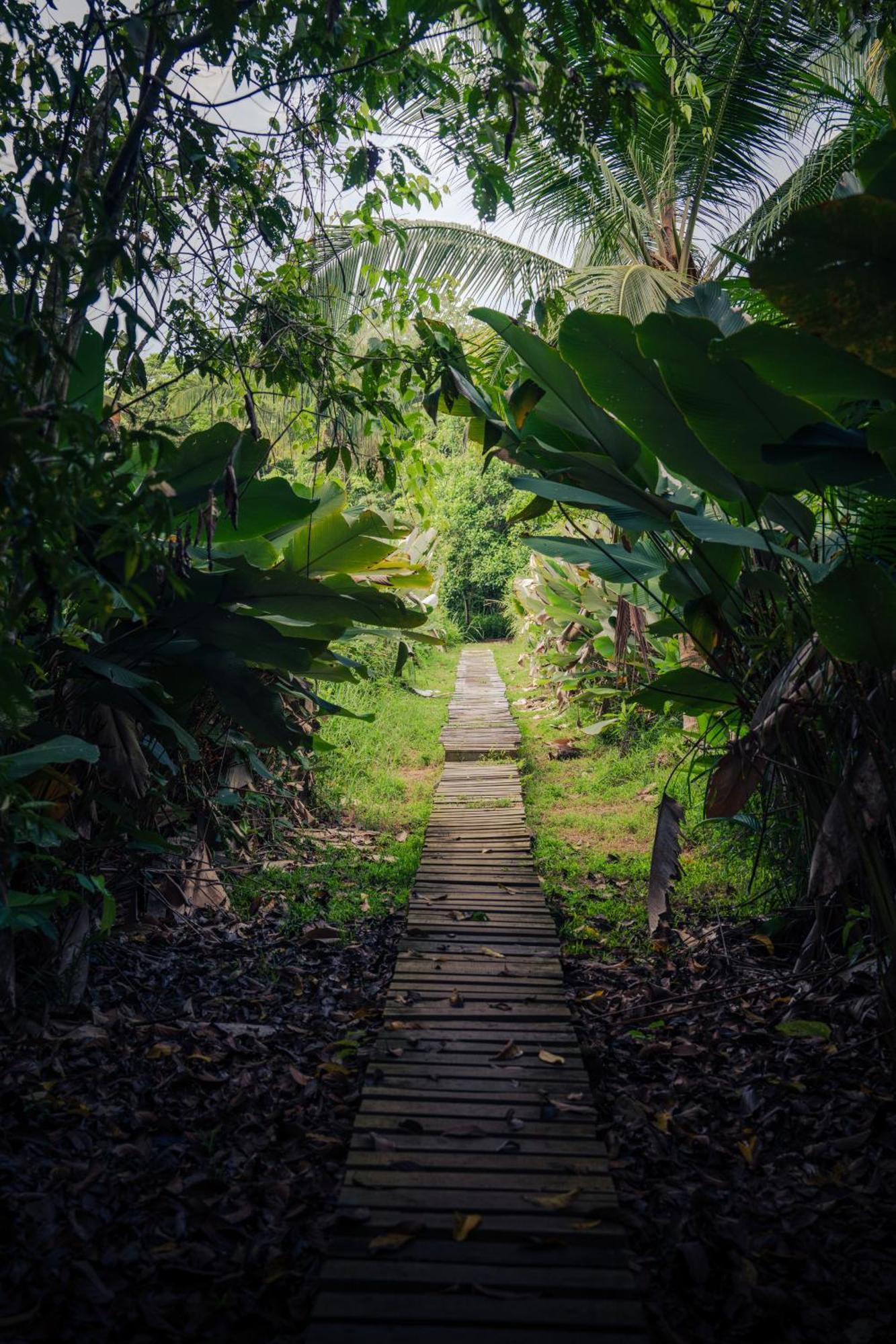 Hacienda Baru Villa Dominical Buitenkant foto