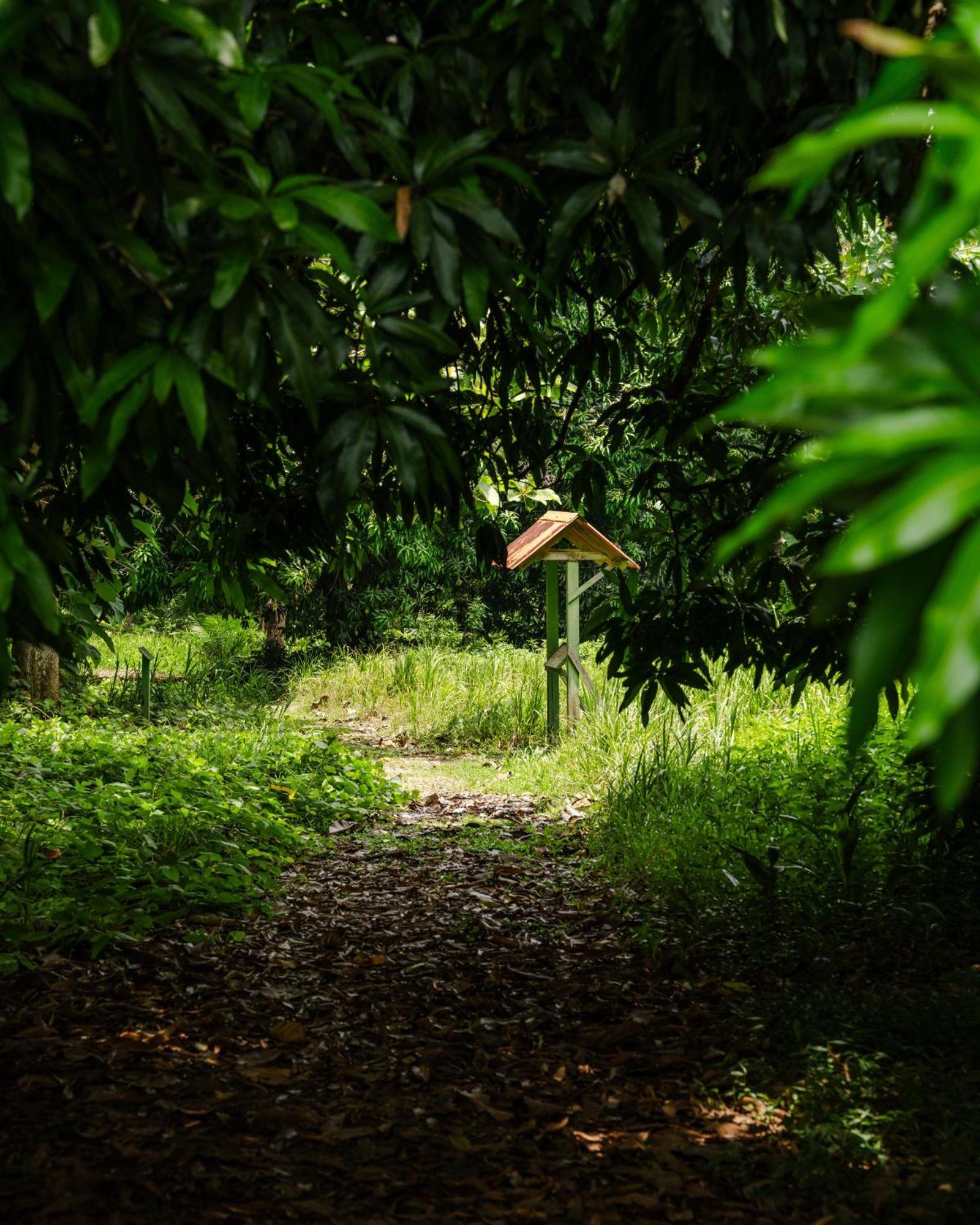 Hacienda Baru Villa Dominical Buitenkant foto