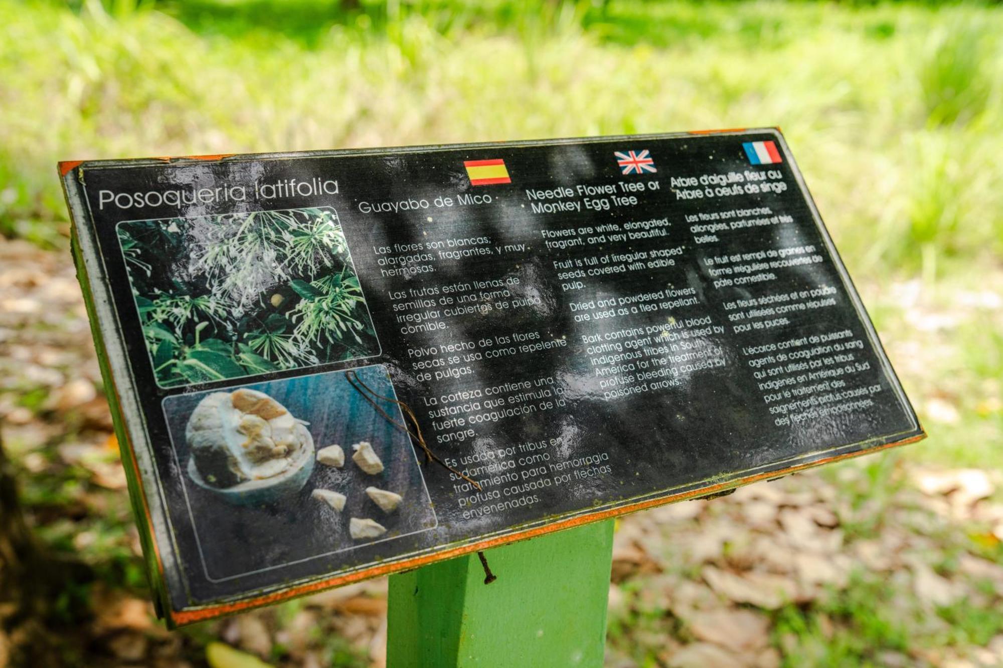 Hacienda Baru Villa Dominical Buitenkant foto
