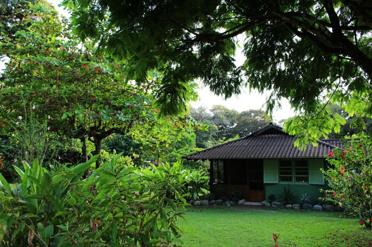 Hacienda Baru Villa Dominical Buitenkant foto